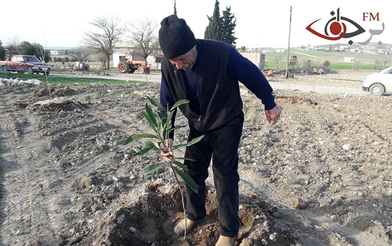 التشجير بدل زراعة القمح والشعير في منطقة كوباني